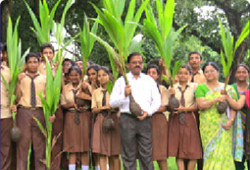 Environmental Initiatives