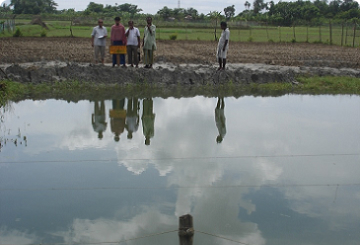 Agriculture Allied Initiatives